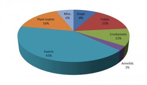 Qualitative percentage Analysis of various food items in different months of <em>C</em>. <em>punctatus</em> from October 2018 to May 2019
