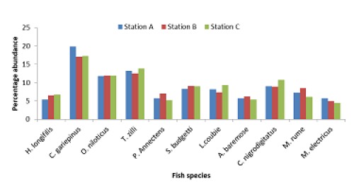 Percentage Fish Abundance of River Okpokwu during the Dry Season