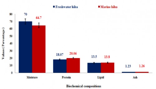 Biochemical compositions of fresh water and marine hilsa, <em>Tenualosa ilisha</em>