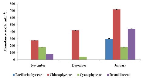 : Mean Â± SE Phytoplankton abundance during the three sampling months in Kuinet (Chepkongi) Dam.