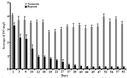 Figure of A representation of comparative measurements of dissolved oxygen levels of water at various days of intervals between normoxic and hypoxic tanks. The DO levels were dramatically reduced around 39 days onwards in hypoxic tanks. The data represent the average DO level. 