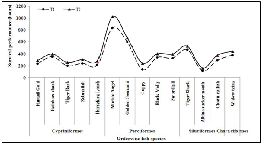 Fig : Survival performance of experimented fishes under starved condition in aquaria